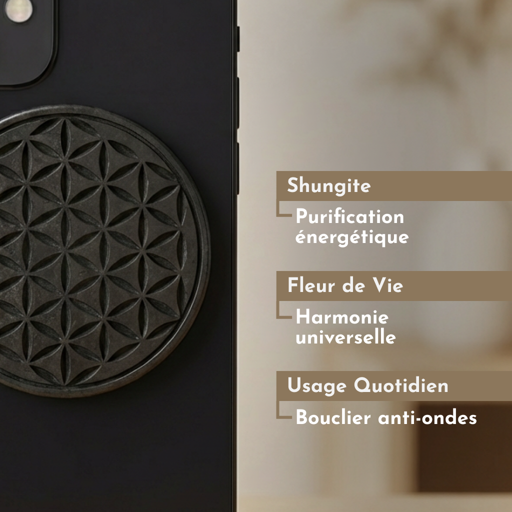 Plaque Shungite Protection Téléphone